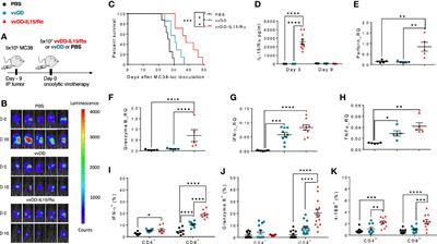 In Vivo Priming of Peritoneal Tumor-Reactive Lymphocytes With a Potent Oncolytic Virus for Adoptive Cell Therapy